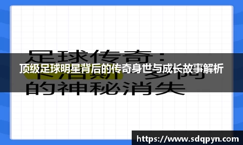 万博max官网