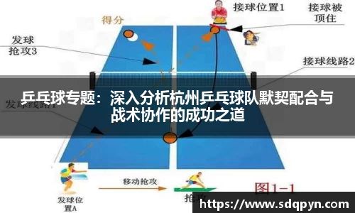 乒乓球专题：深入分析杭州乒乓球队默契配合与战术协作的成功之道