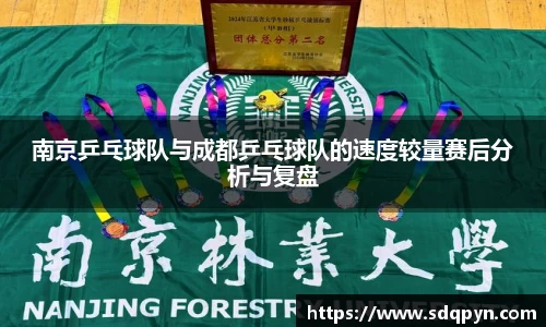 南京乒乓球队与成都乒乓球队的速度较量赛后分析与复盘