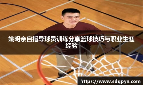 万博max官网