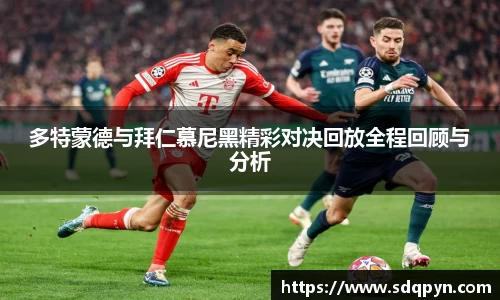 万博max体育官网